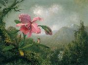 Martin Johnson Heade Orchid and Hummingbird near a Mountain Waterfall oil